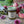 Load image into Gallery viewer, Autum Harvest | Seasonal Soy Candle Candle Wooly Beast Naturals
