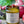 Load image into Gallery viewer, Autum Harvest | Seasonal Soy Candle Candle Wooly Beast Naturals